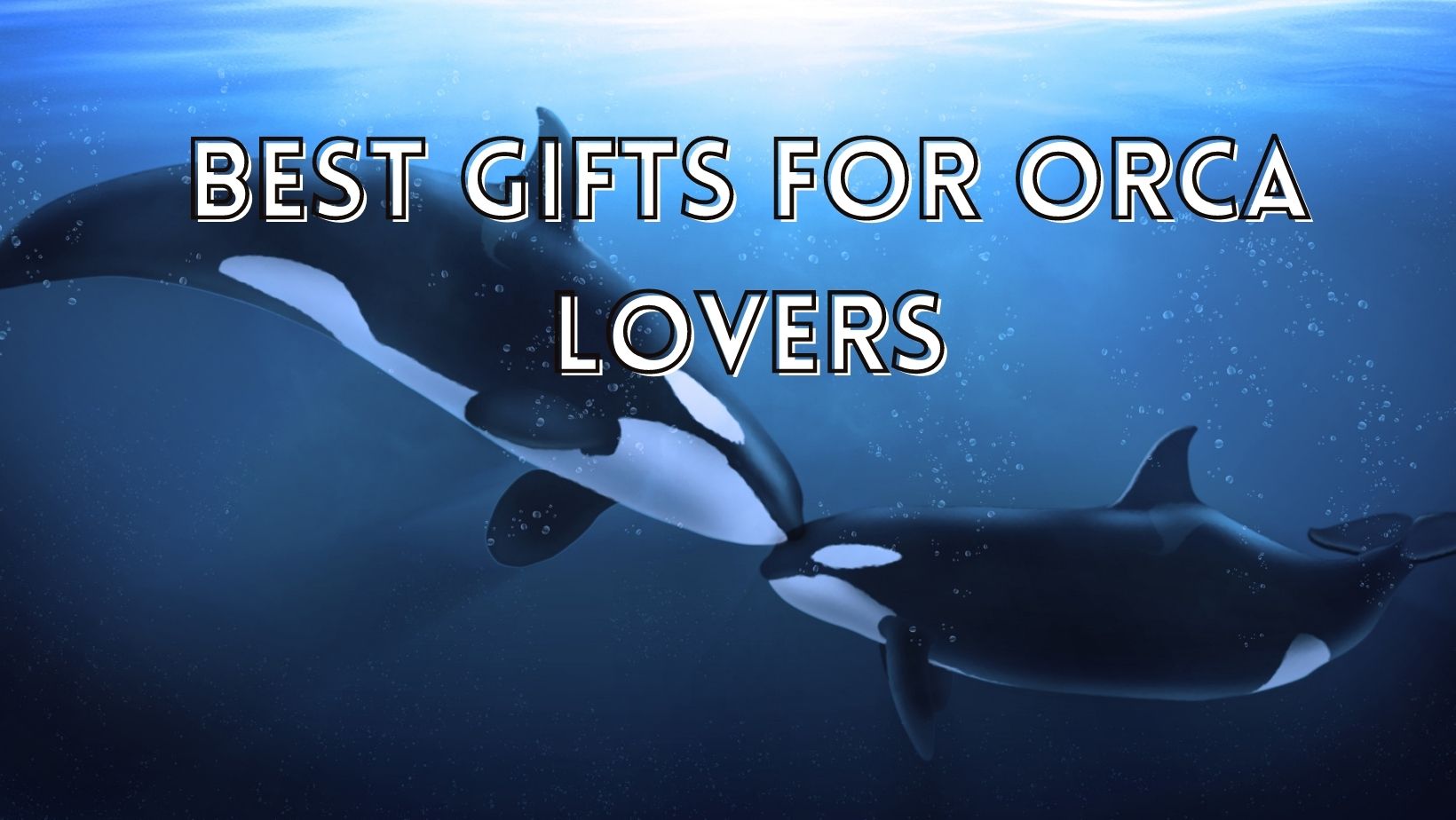 Top gifts for orca lovers