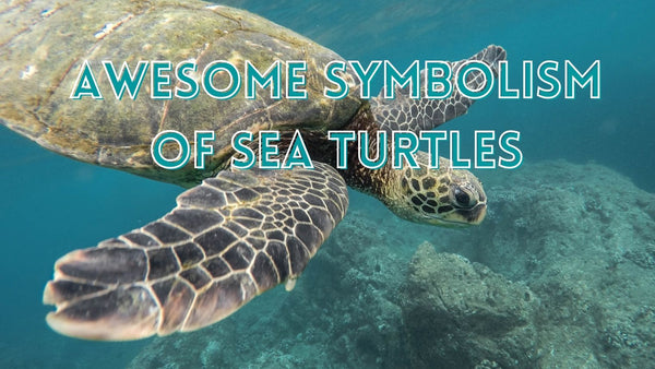 Awesome sea turtle symbolisms
