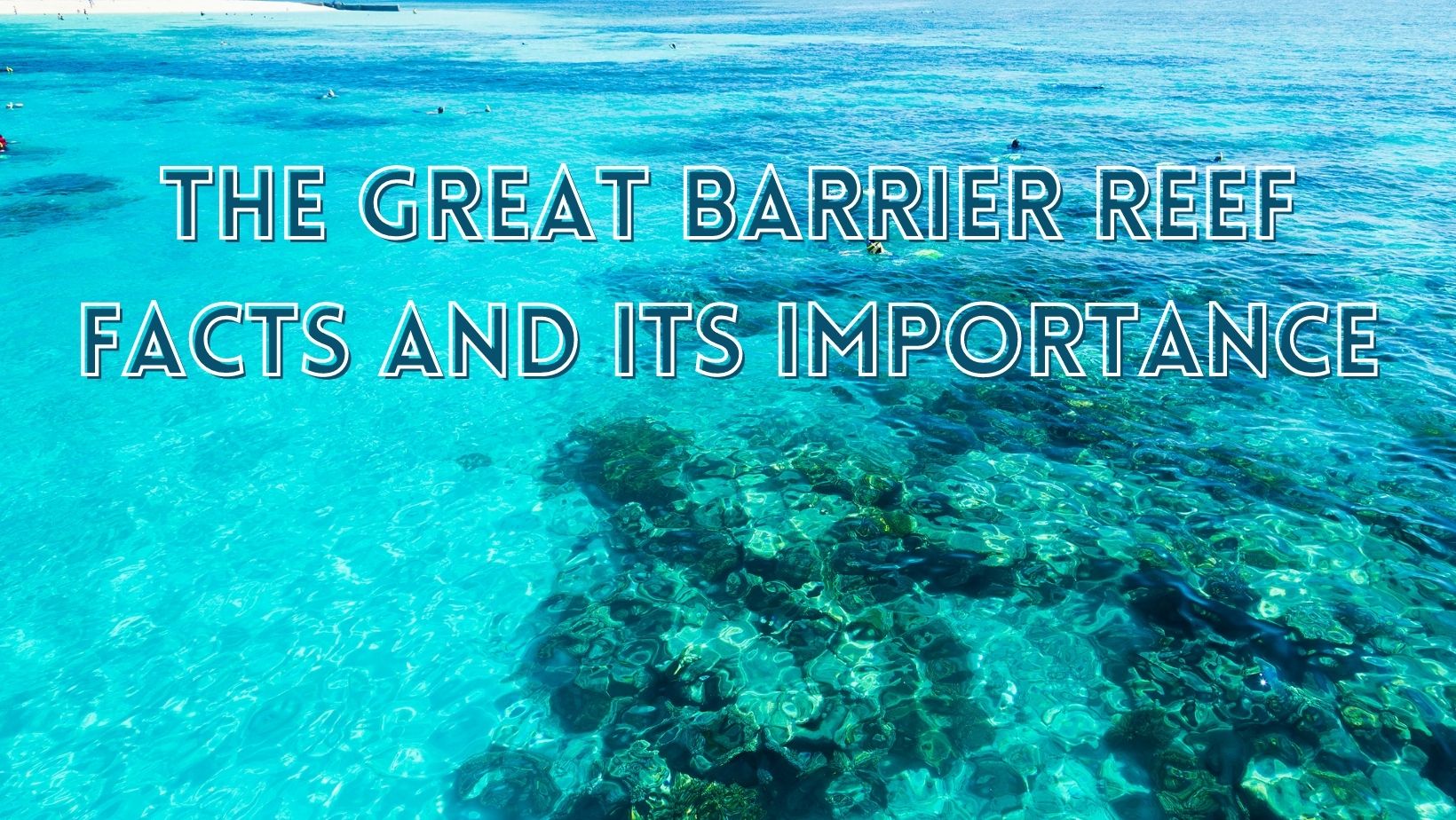 Great barrier reef facts and importance
