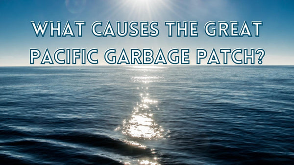 Garbage patch in the Pacific Ocean causes