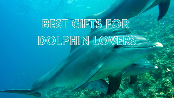 Unique gifts for dolphin lovers