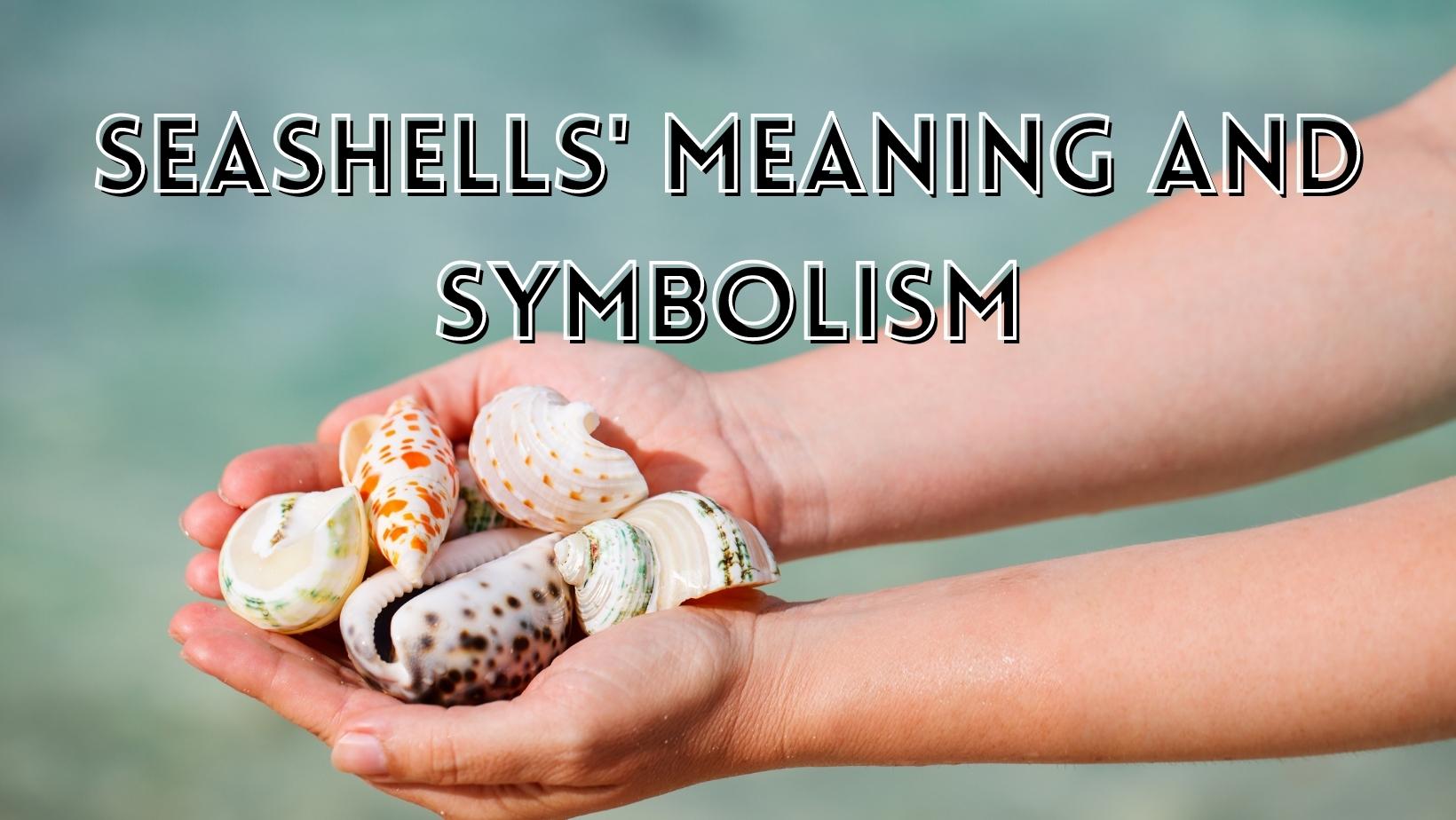 Seashells' Meaning and Symbolism