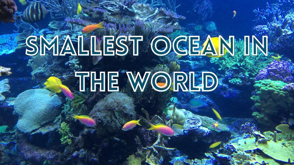 Smallest Ocean in the World
