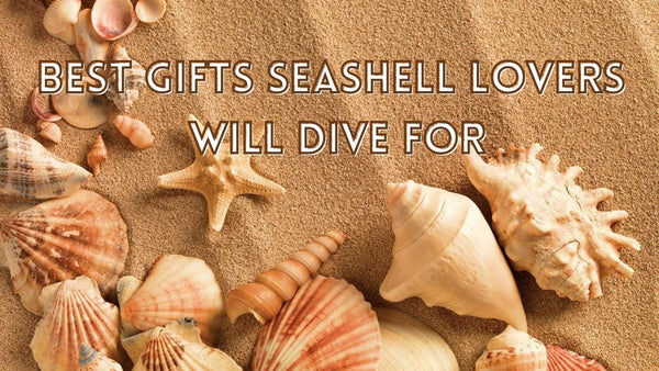 Seashell lovers gifts