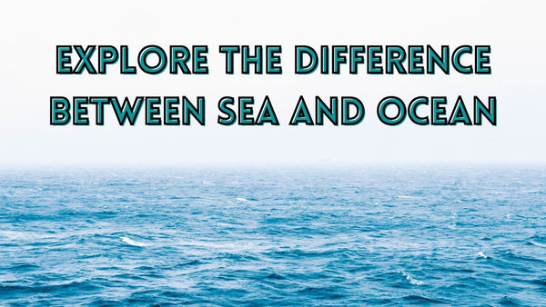 Difference of sea and ocean