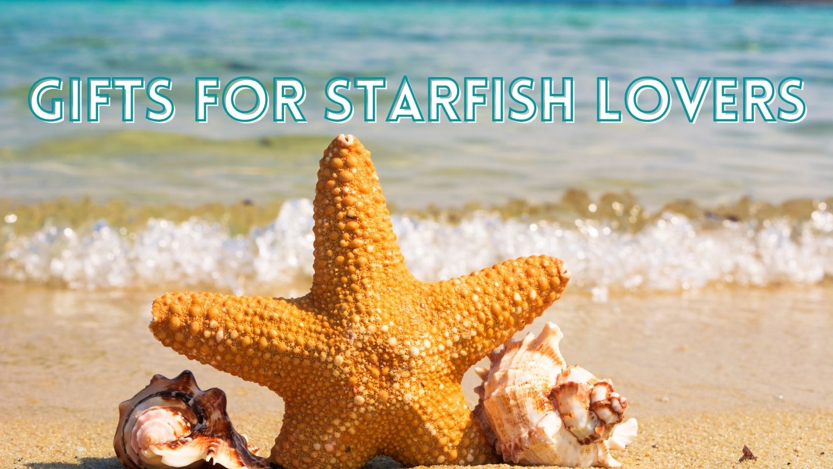 Gifts perfect for starfish lovers