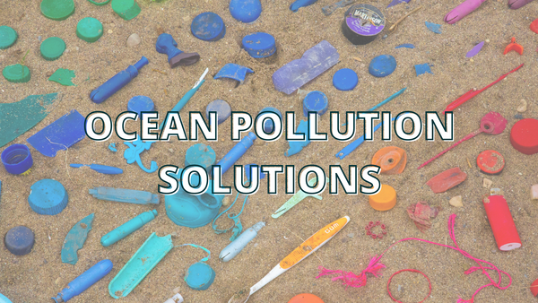 15 Solutions To Fight Ocean Pollution