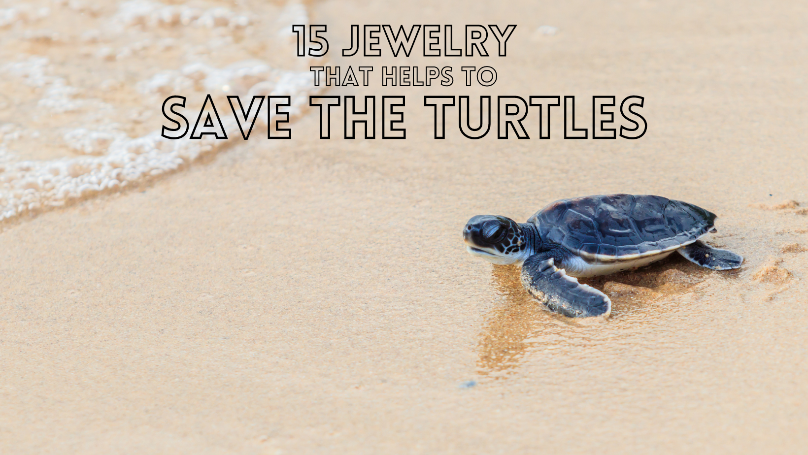 Merchandise That Helps To Save The Turtles