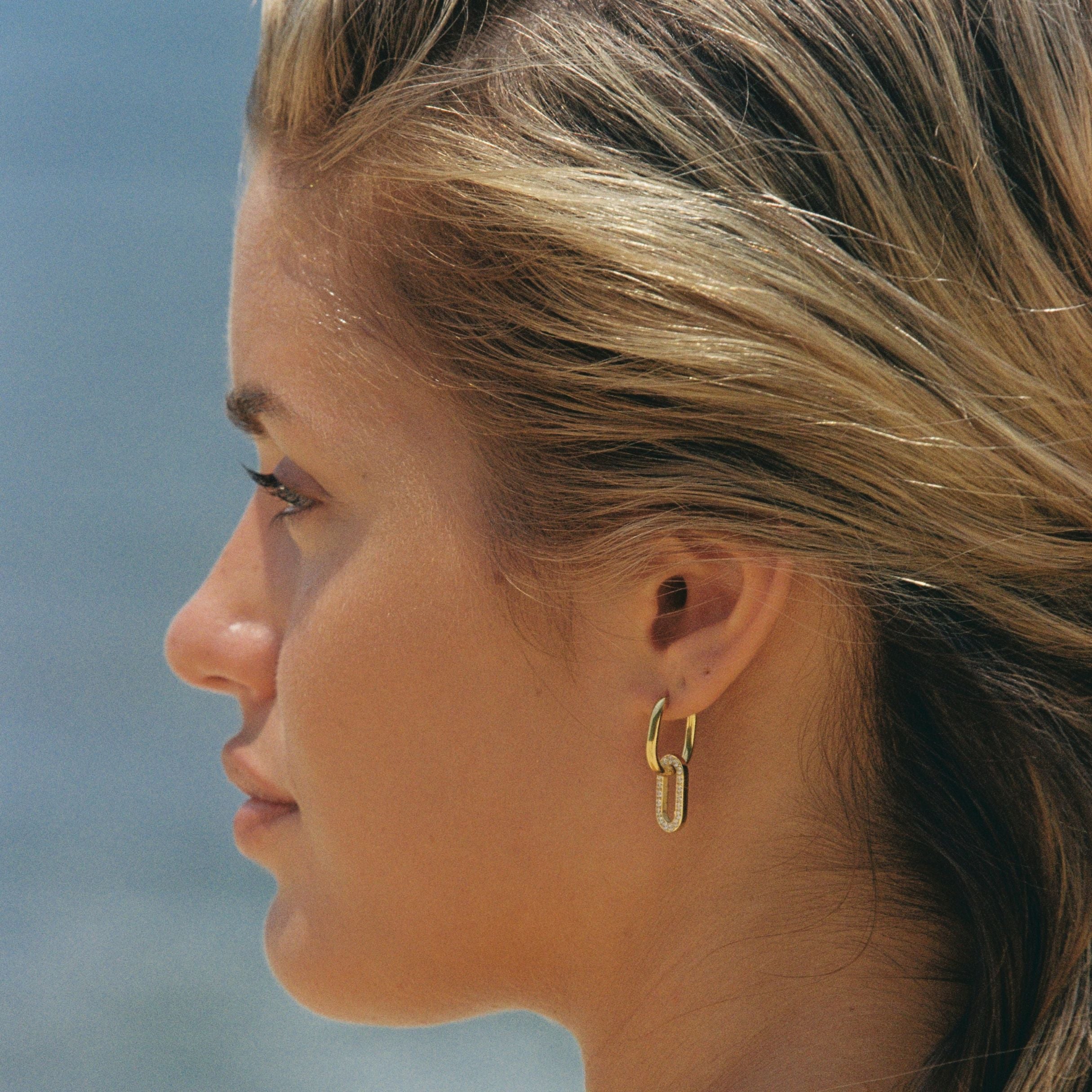 Double Hoops Earrings