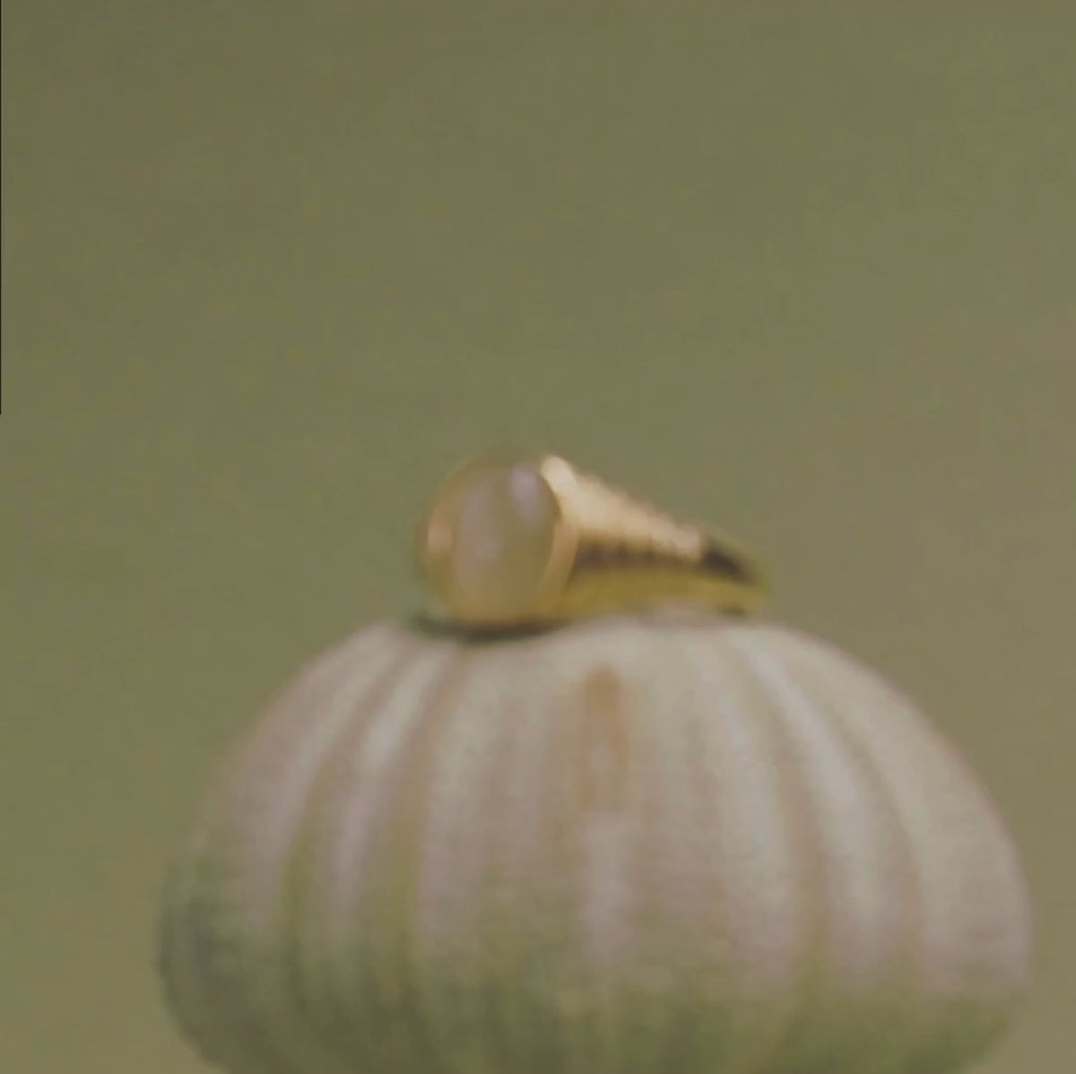 Heritage Ring